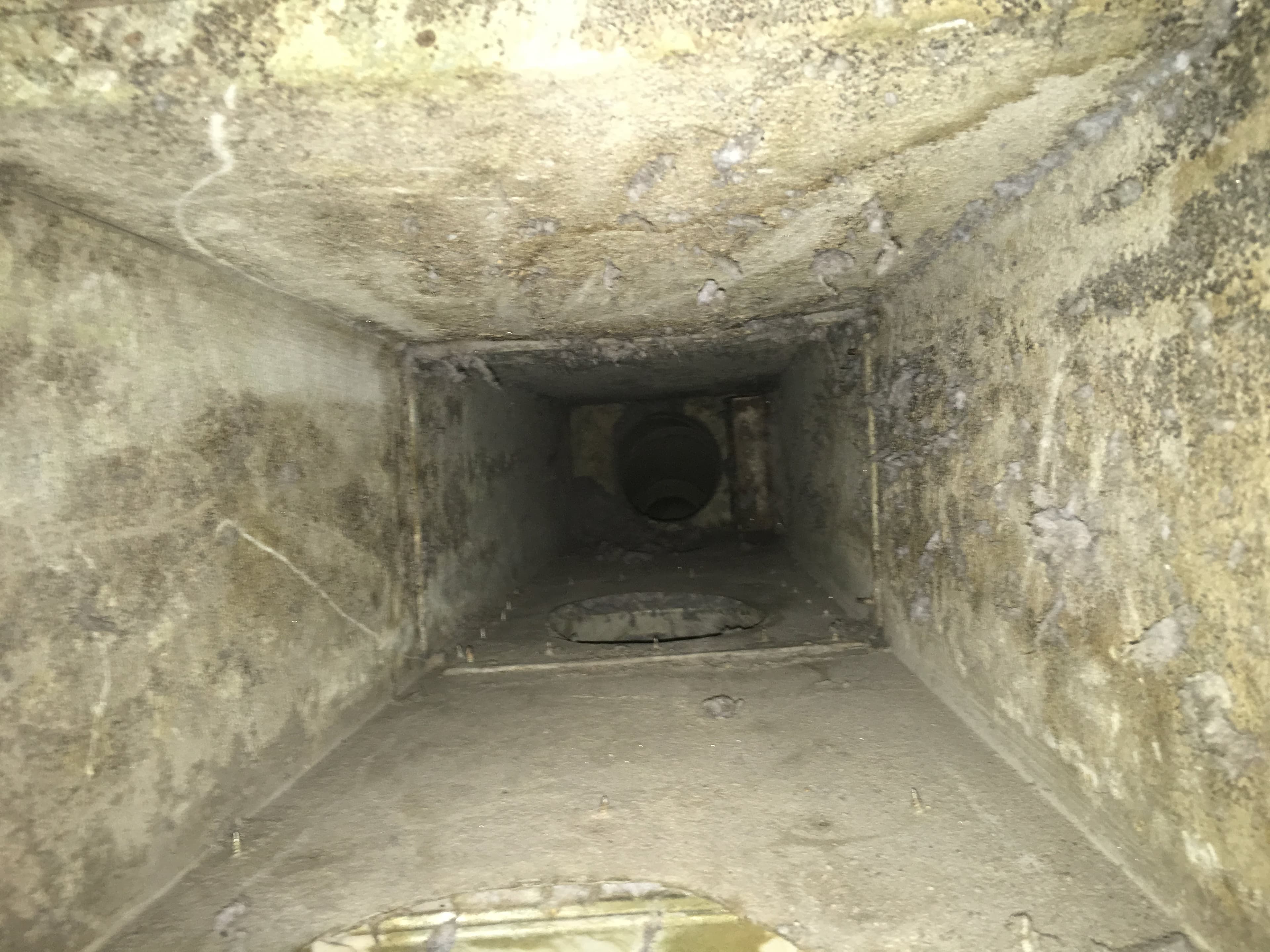 Kitchen & Bathroom Vent Cleaning